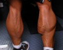 calfs